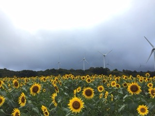 f:id:otsukimidrive:20160913230527j:plain