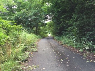 f:id:otsukimidrive:20160913231109j:plain