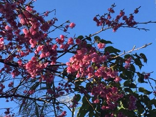f:id:otsukimidrive:20170207194153j:plain