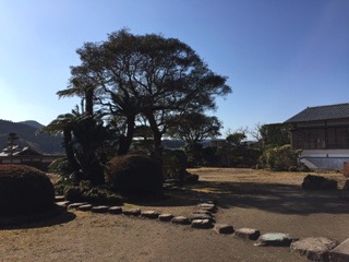 f:id:otsukimidrive:20170209210117j:plain