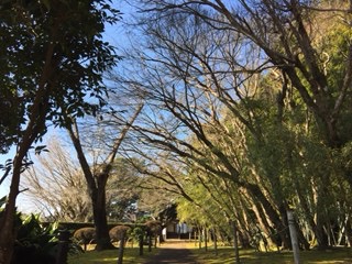f:id:otsukimidrive:20170209210129j:plain