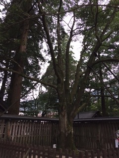 f:id:otsukimidrive:20170210105759j:plain