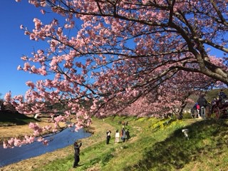 f:id:otsukimidrive:20170216211050j:plain f:id:otsukimidrive:20170216211050j:plain