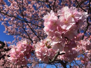 f:id:otsukimidrive:20170216211242j:plain f:id:otsukimidrive:20170216211242j:plain