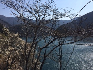 f:id:otsukimidrive:20170320221217j:plain
