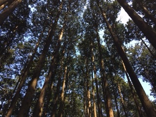 f:id:otsukimidrive:20170406225251j:plain