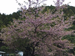 f:id:otsukimidrive:20170408100344j:plain