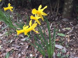 f:id:otsukimidrive:20170408100445j:plain