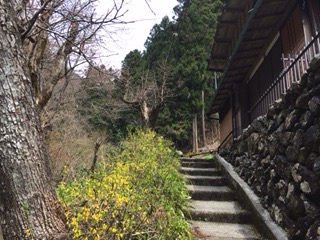 f:id:otsukimidrive:20170416105027j:plain
