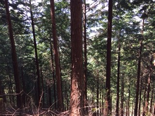 f:id:otsukimidrive:20170416110708j:plain
