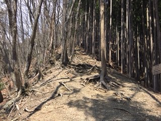 f:id:otsukimidrive:20170416110754j:plain