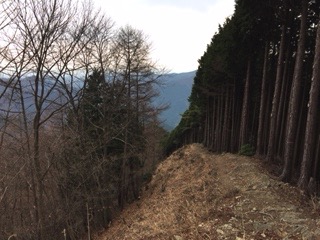 f:id:otsukimidrive:20170416114025j:plain