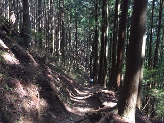 f:id:otsukimidrive:20170416114803j:plain
