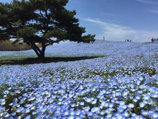 f:id:otsukimidrive:20170421234745j:plain