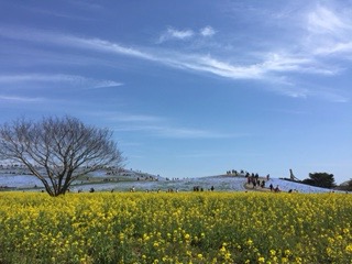 f:id:otsukimidrive:20170421234945j:plain