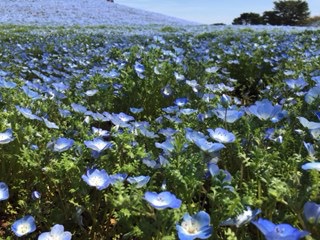 f:id:otsukimidrive:20170421235045j:plain