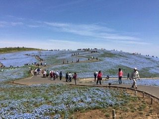 f:id:otsukimidrive:20170421235440j:plain