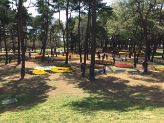 f:id:otsukimidrive:20170422000448j:plain