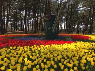 f:id:otsukimidrive:20170422000642j:plain