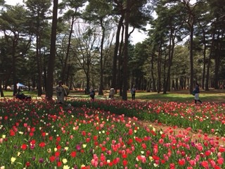 f:id:otsukimidrive:20170422000727j:plain
