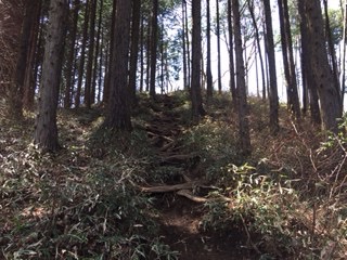 f:id:otsukimidrive:20170426233044j:plain