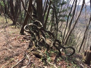 f:id:otsukimidrive:20170427110300j:plain