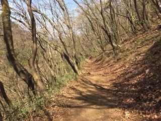 f:id:otsukimidrive:20170427115143j:plain