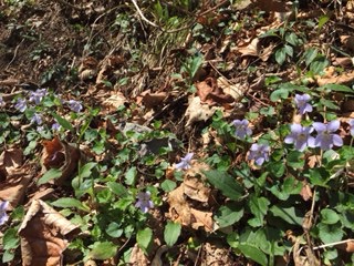 f:id:otsukimidrive:20170427115758j:plain