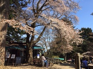 f:id:otsukimidrive:20170427120019j:plain