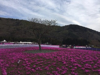 f:id:otsukimidrive:20170507195433j:plain