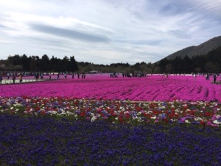 f:id:otsukimidrive:20170507195810j:plain
