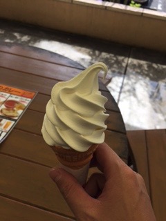 f:id:otsukimidrive:20170507202340j:plain