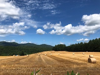 f:id:otsukimidrive:20180814230525j:plain