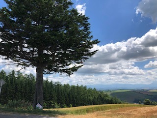 f:id:otsukimidrive:20180814231240j:plain