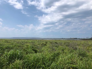 f:id:otsukimidrive:20180824231637j:plain
