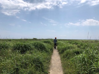f:id:otsukimidrive:20180824231859j:plain
