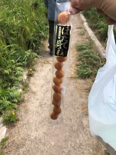 f:id:otsukimidrive:20180824232016j:plain