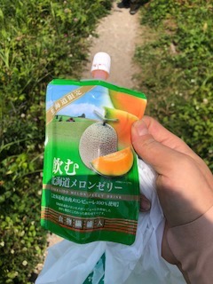f:id:otsukimidrive:20180824234430j:plain