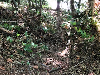 f:id:otsukimidrive:20180902130320j:plain f:id:otsukimidrive:20180902130320j:plain
