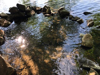 f:id:otsukimidrive:20180902130730j:plain f:id:otsukimidrive:20180902130730j:plain