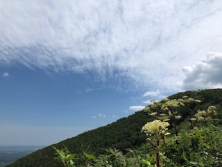 f:id:otsukimidrive:20180911223514j:plain