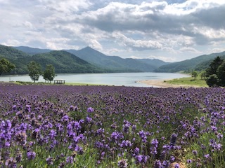 f:id:otsukimidrive:20180911224337j:plain