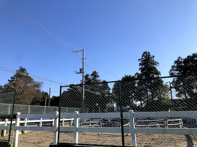 f:id:otsukimidrive:20201026232357j:plain f:id:otsukimidrive:20201026232357j:plain