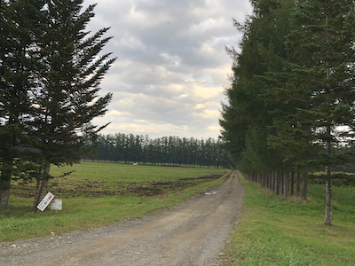 f:id:otsukimidrive:20211022002643j:plain