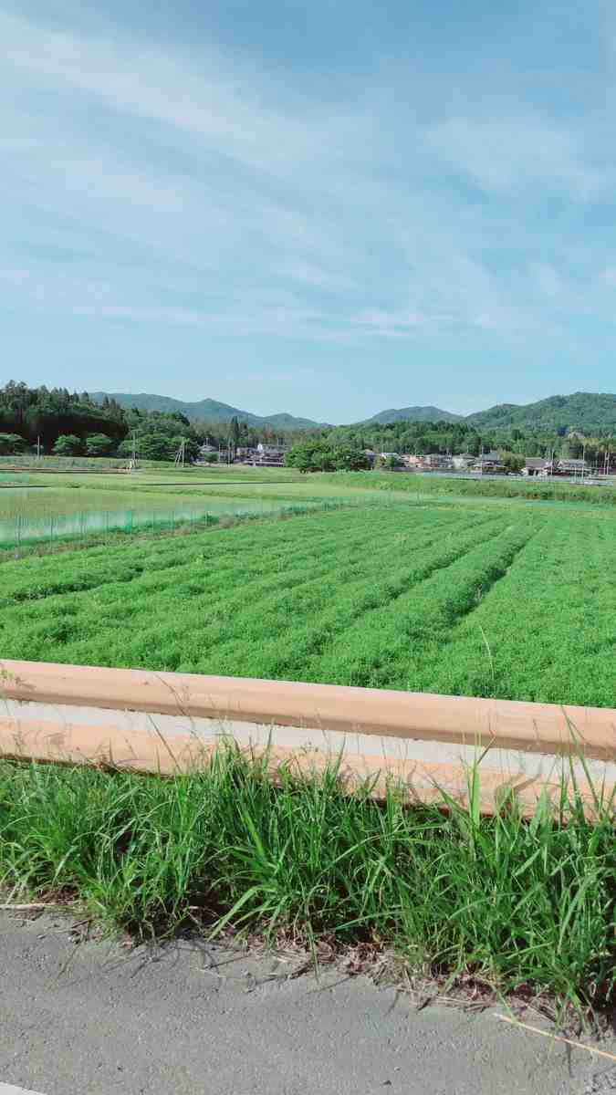 f:id:otsumedia:20190706123327j:plain