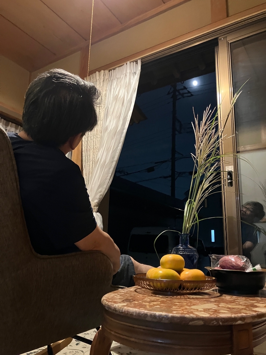 菊図（芒ニ黄菊図） 寺崎廣業筆 作品NO205 - 夜噺骨董談義