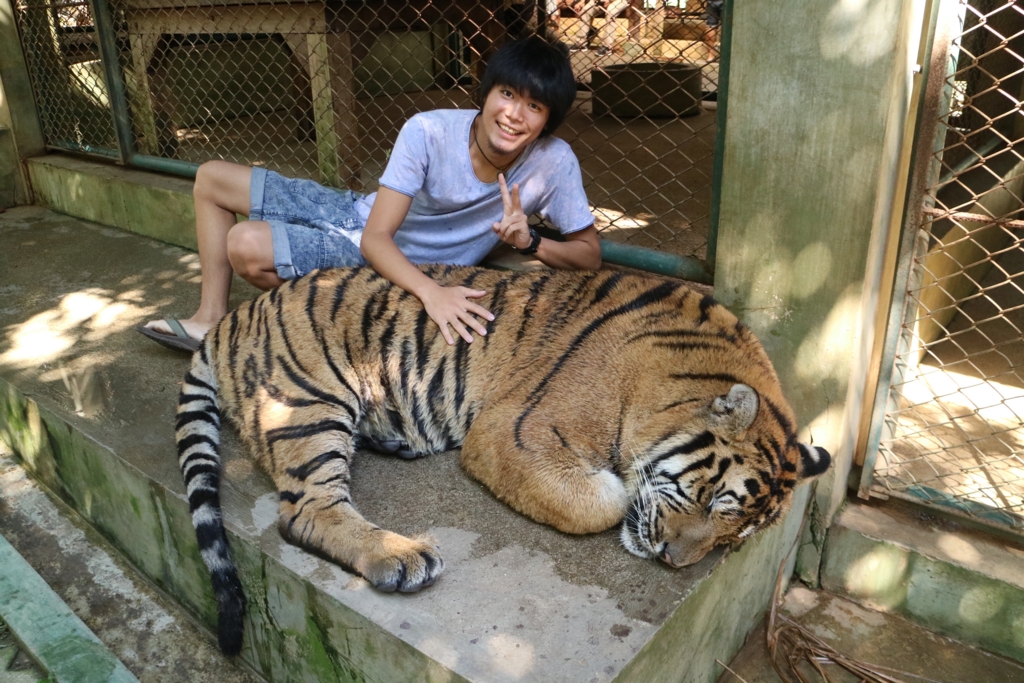 f:id:otsuyu425:20161103192844j:plain f:id:otsuyu425:20161103192844j:plain