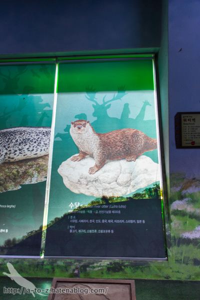 f:id:otters_yvonne:20160614135841j:plain