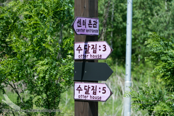 f:id:otters_yvonne:20160628162802j:plain