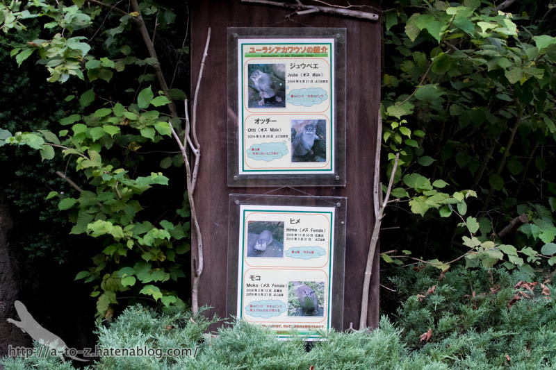 f:id:otters_yvonne:20160720211322j:plain